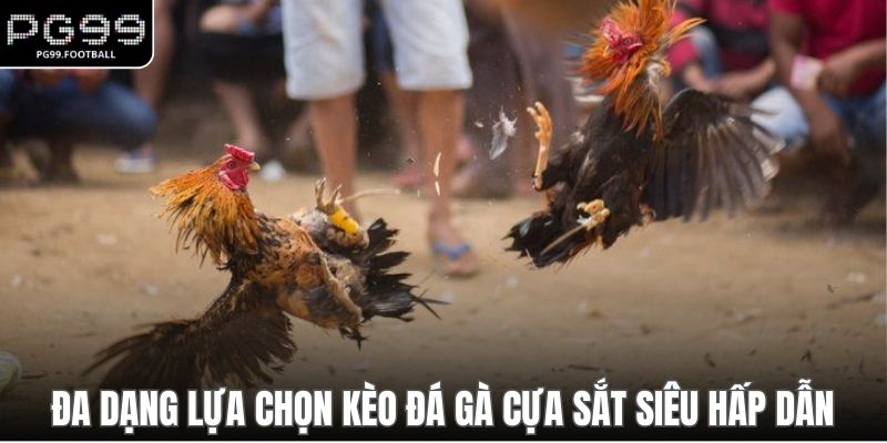 Đa dạng lựa chọn kèo đá gà cựa sắt siêu hấp dẫn