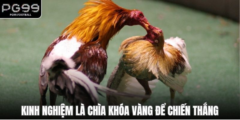 Kinh nghiệm là chìa khóa vàng để chiến thắng