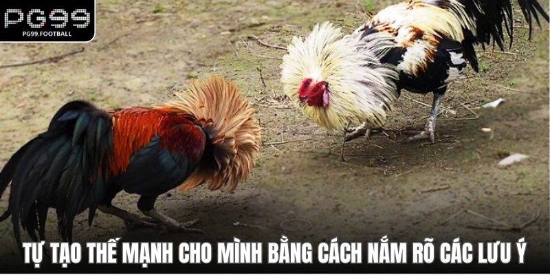Tự tạo thế mạnh cho mình bằng cách nắm rõ các lưu ý